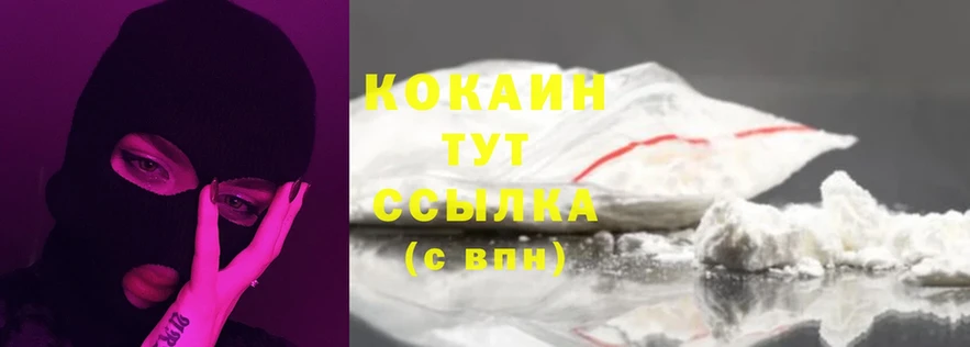 купить закладку  Кудымкар  COCAIN FishScale 