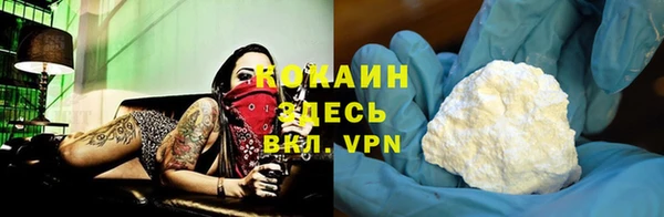 прущие грибы Пенза