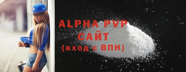прущие грибы Пенза