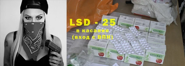 гашик Кукмор