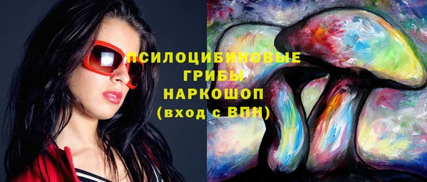 прущие грибы Пенза