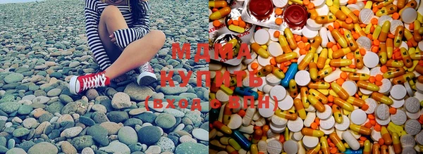 прущие грибы Пенза
