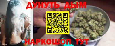 индика Ирбит