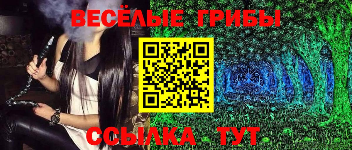 Псилоцибиновые грибы Psilocybe  Вход с VPN  Кудымкар 