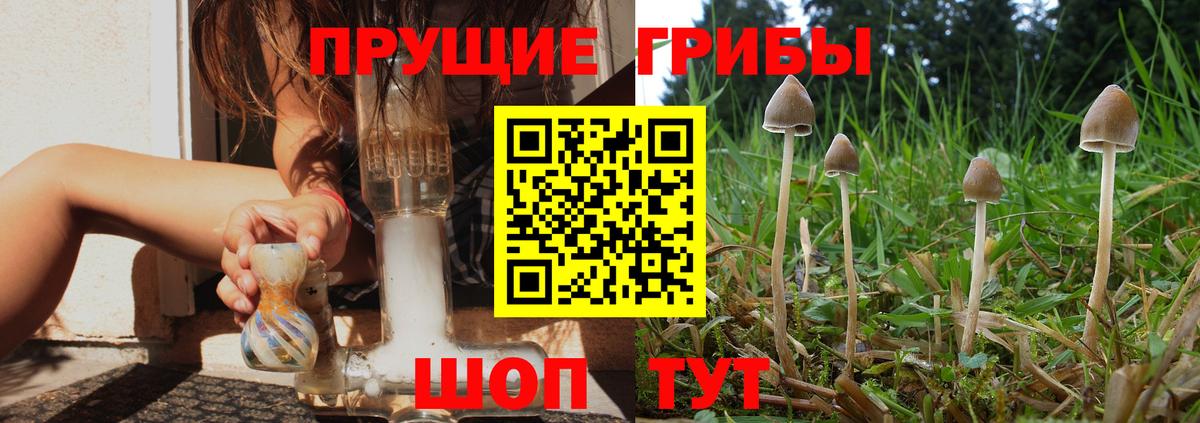 Галлюциногенные грибы GOLDEN TEACHER Кудымкар
